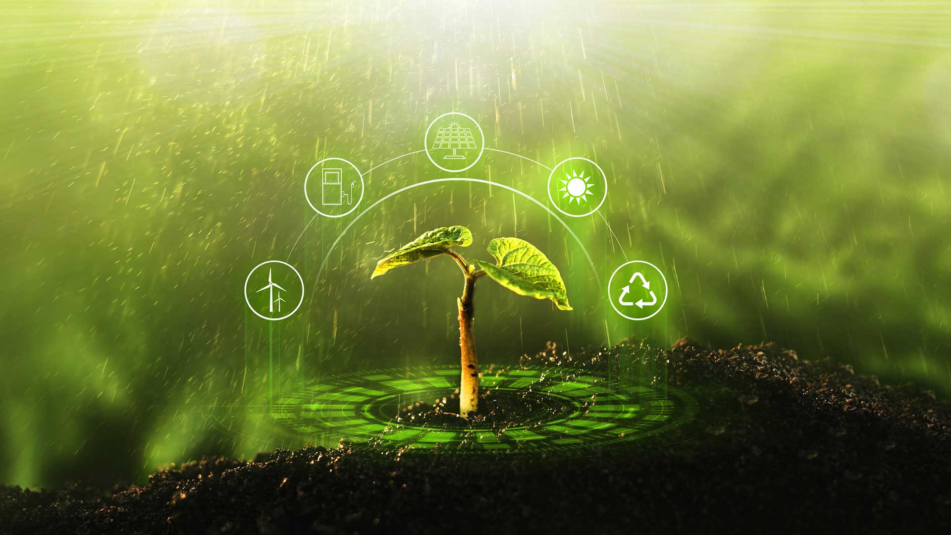 Sustainability
